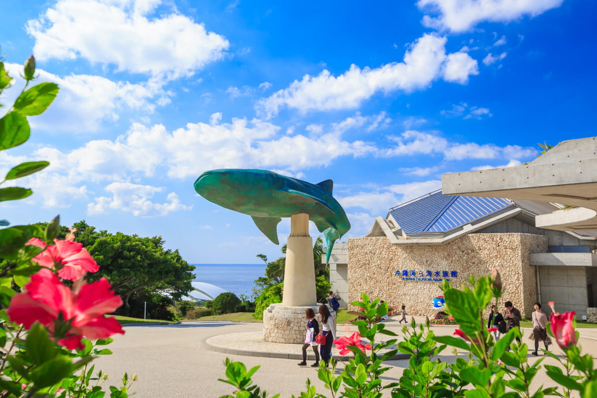 美ら海水族館